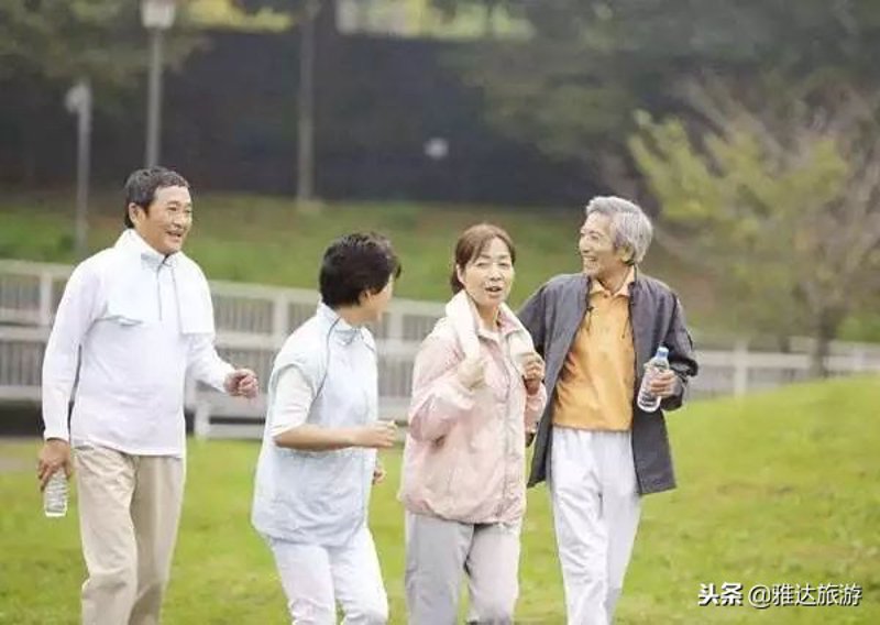 老年旅游团：银发之年的新篇章